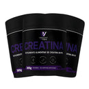 Laboratório + Vida - CREATINA 300G